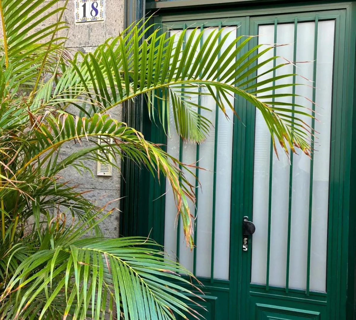 Apartamento Las Flores Puerto de la Cruz  Puerto de la Cruz (Tenerife)