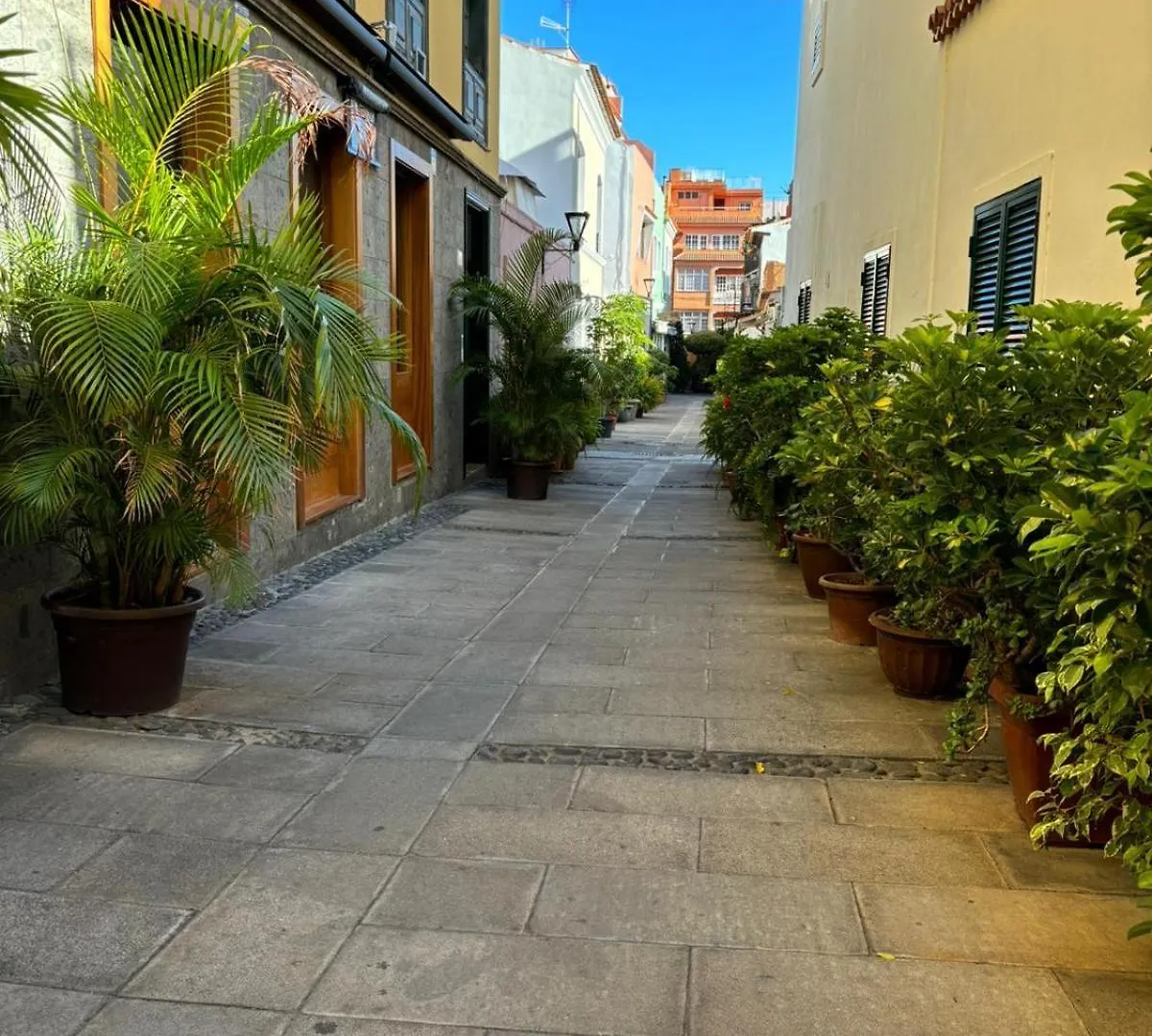 Apartamento Las Flores Puerto de la Cruz   Puerto de la Cruz (Tenerife)